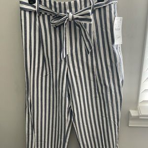 Zara Striped Pants